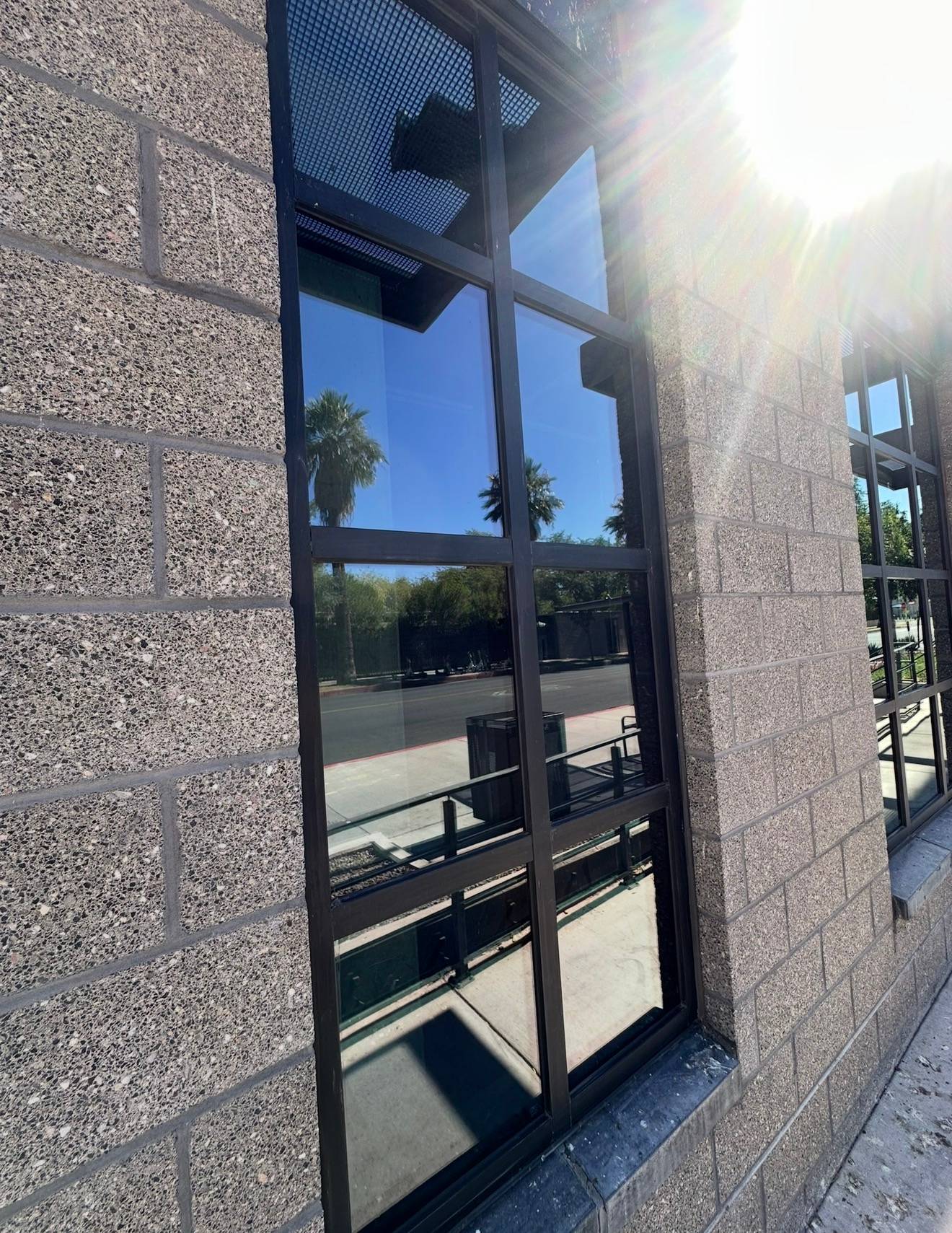 Storefront glass from an angle after cleaning, the palms reflected clearly